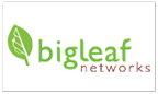 Big leaf networks